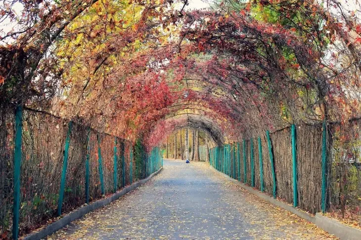 Sevan Botanical Garden