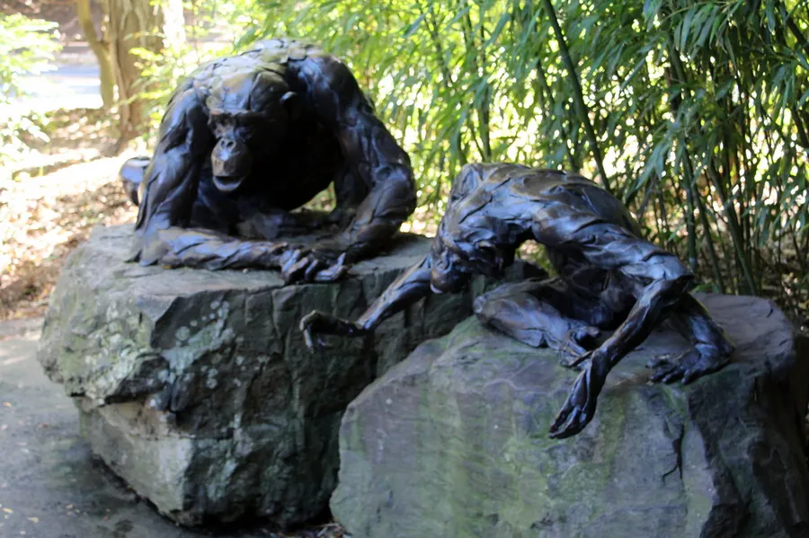 Seven Hills Zoo