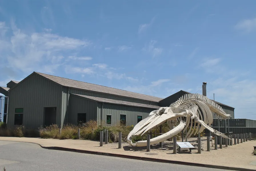 Seymour Marine Discovery Center