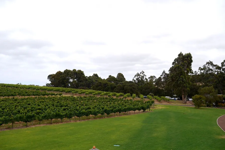 Shadowfax Winery