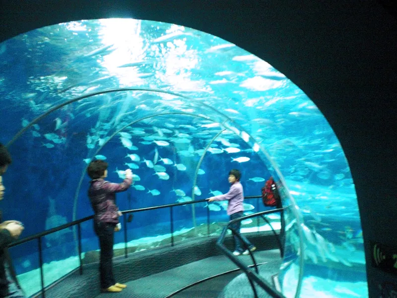 Shanghai Ocean Aquarium