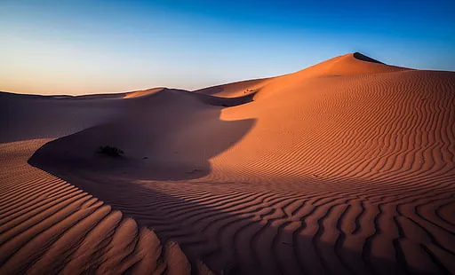 Sharjah Desert Park