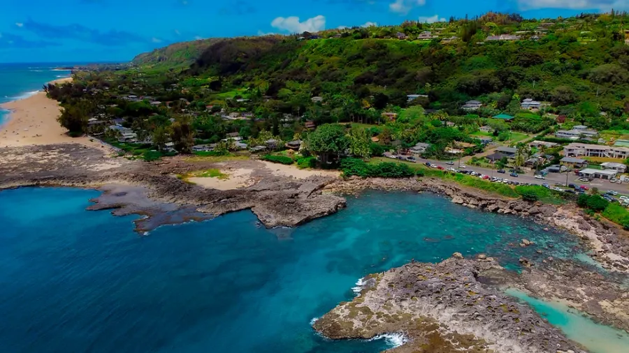 Shark's Cove