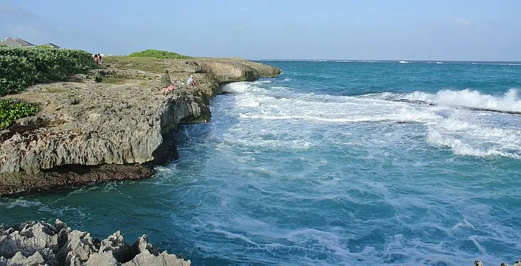 Shark Hole