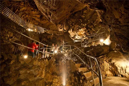 Shasta Caverns