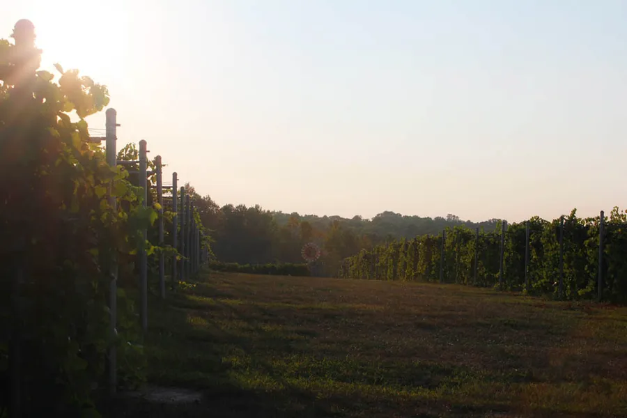 Shawnee Wine Trail