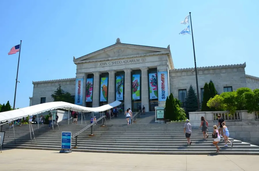 Shedd Aquarium