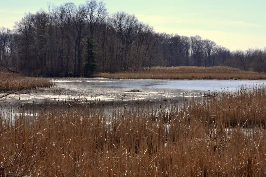 Sheldon Marsh State Nature Preserve