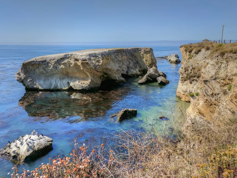Shell Beach