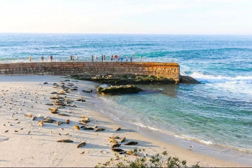 Shell Beach Tide Pools
