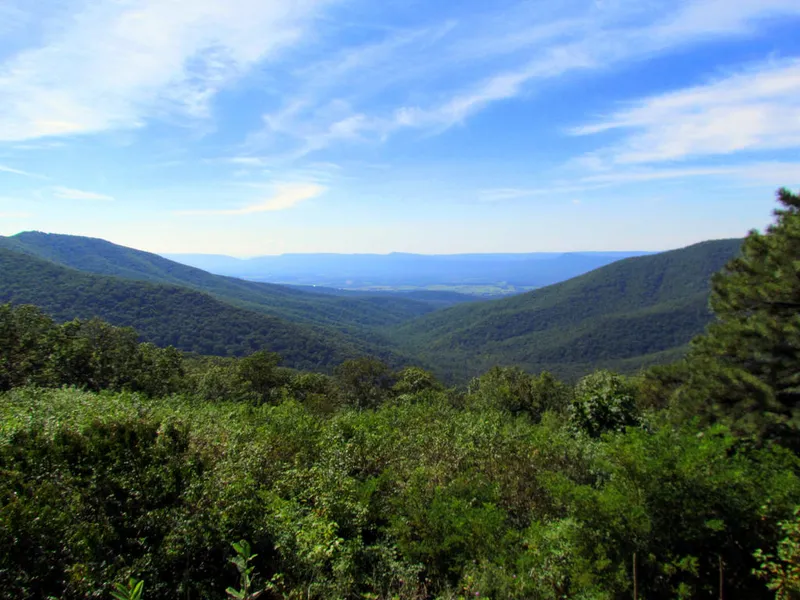 Shenandoah Valley Art Center