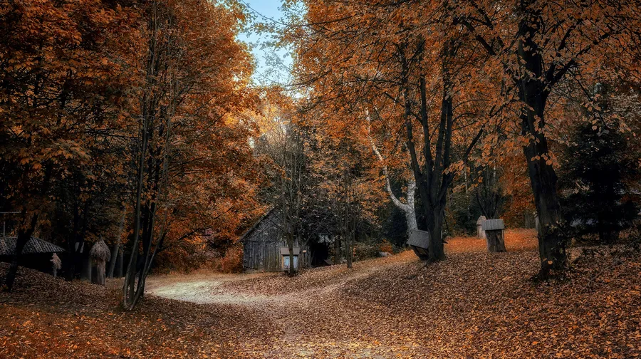Shevchenkivskyi Hai Open-Air Museum