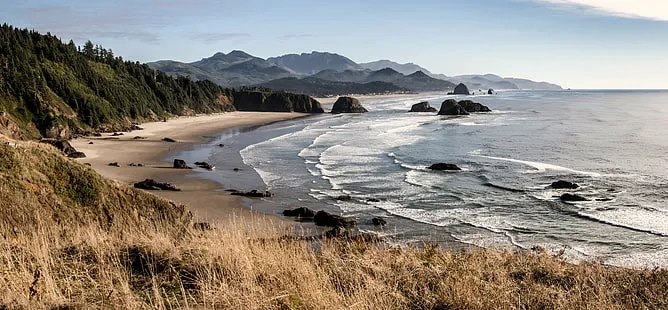 Shi Shi Beach