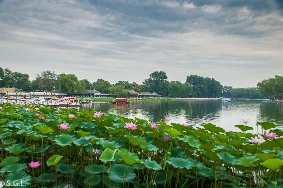 Shichahai Lake