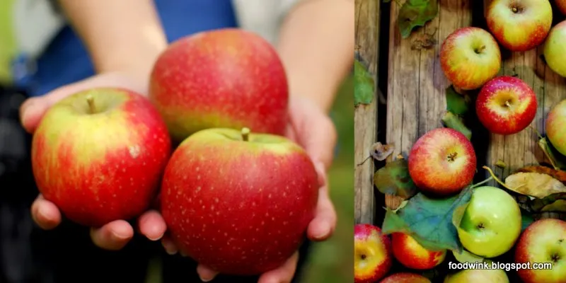 Shields Orchard