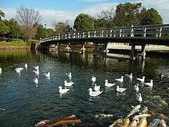 Shirotori Garden