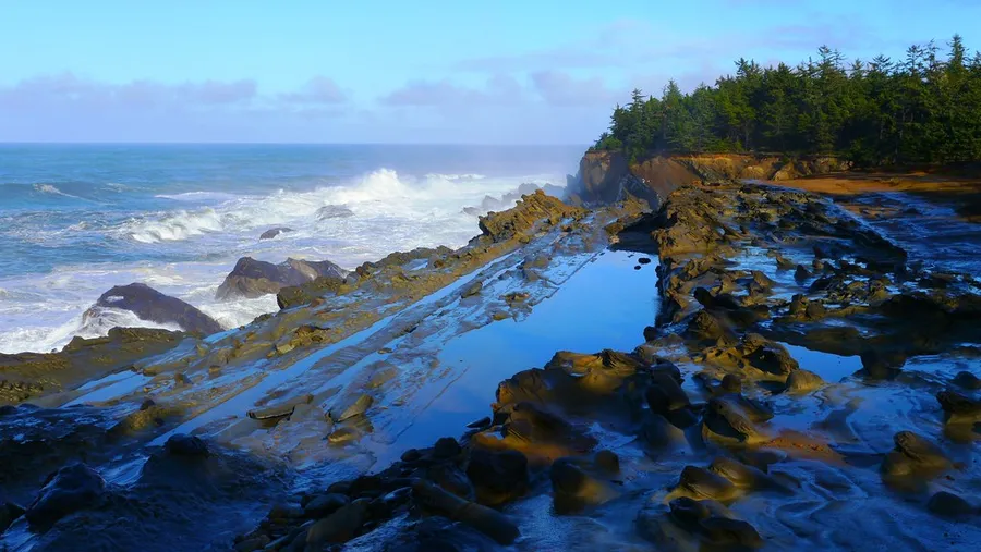 Shore Acres State Park