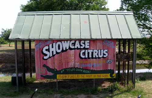 Showcase of Citrus