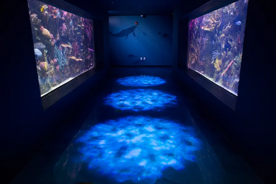 Shreveport Aquarium