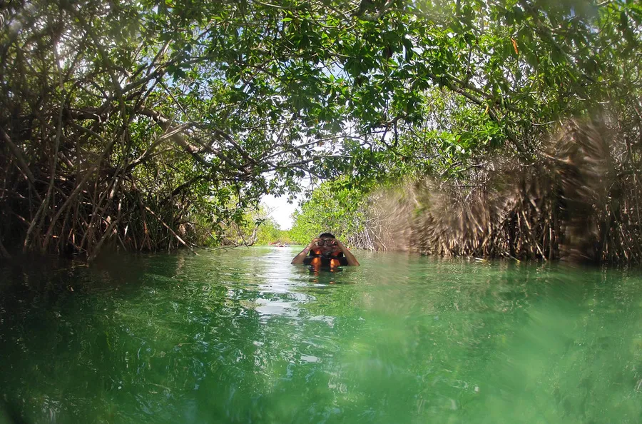 Sian Ka'an Biosphere Reserve