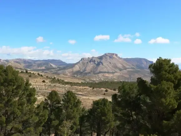 Sierra María-Los Vélez Natural Park