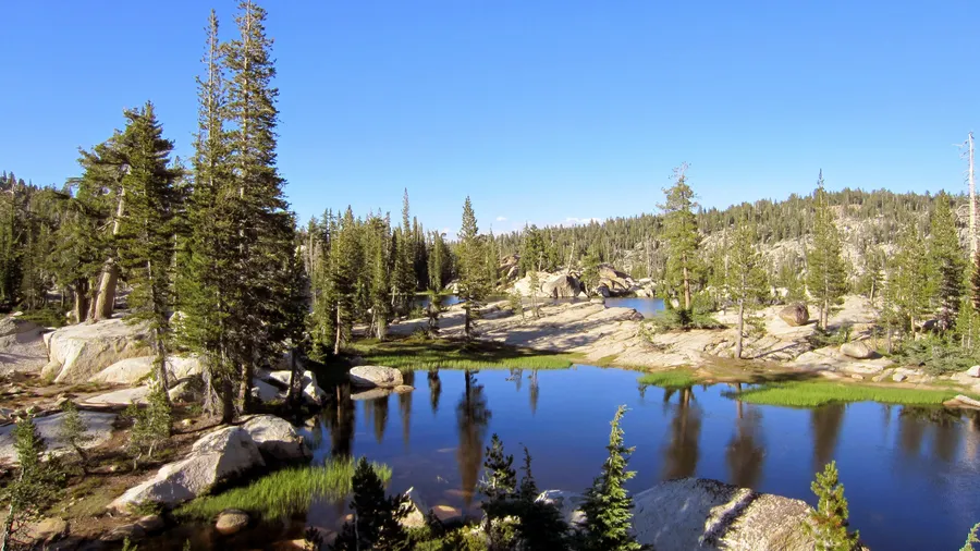 Sierra National Forest