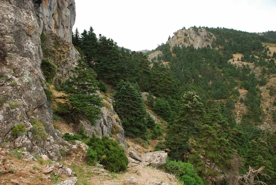 Sierra de las Nieves Natural Park