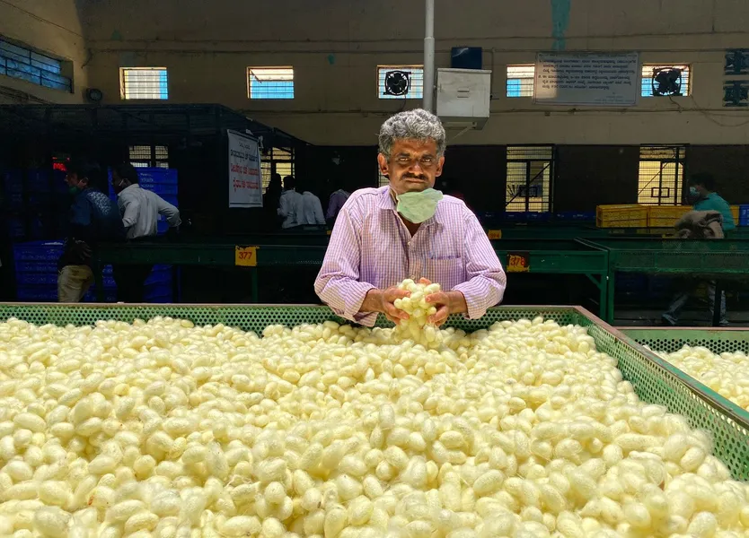 Silk Farm