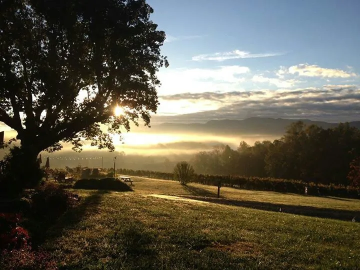 Silver Fork Winery