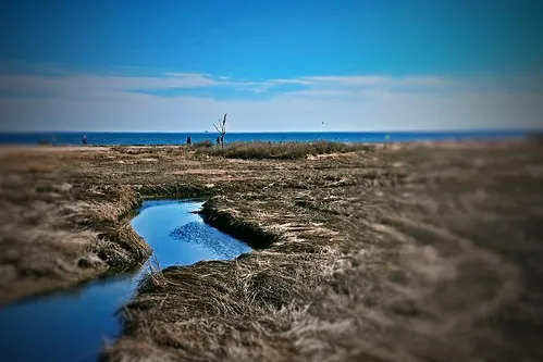 Silver Sands State Park