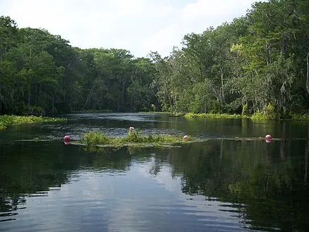 Silver Springs State Park