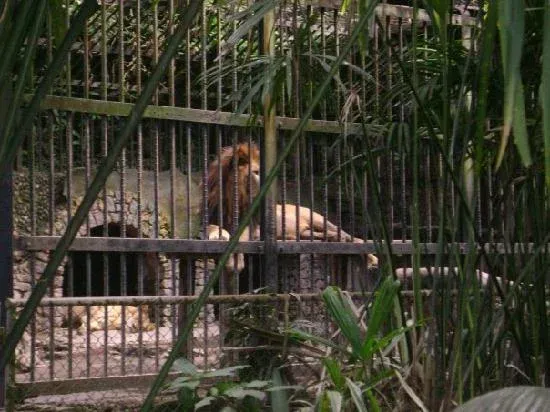 Simon Bolivar Zoo