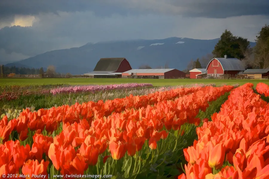 Skagit Valley Provincial Park