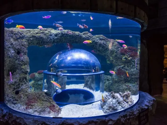 Skegness Aquarium