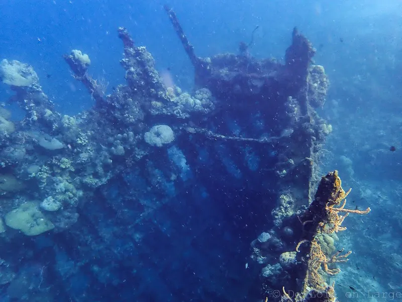 Skeleton Wreck Dive Site