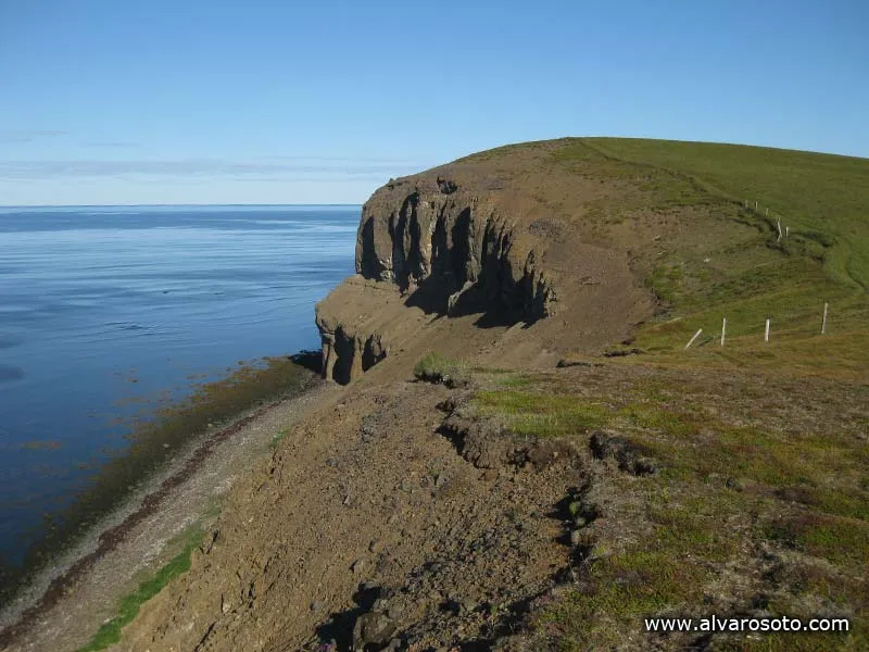 Skjálfandi Bay