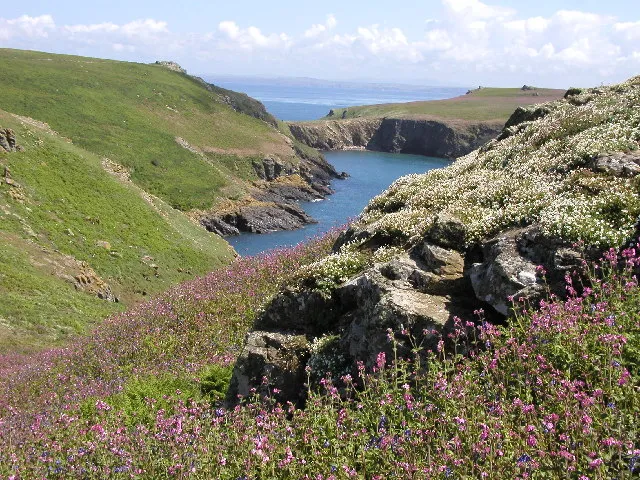 Skomer Island