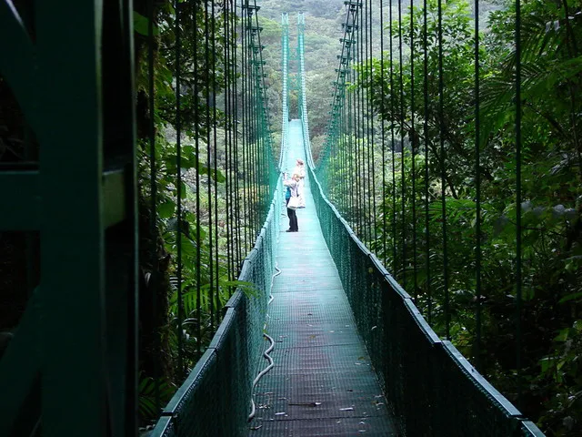 Sky Walk