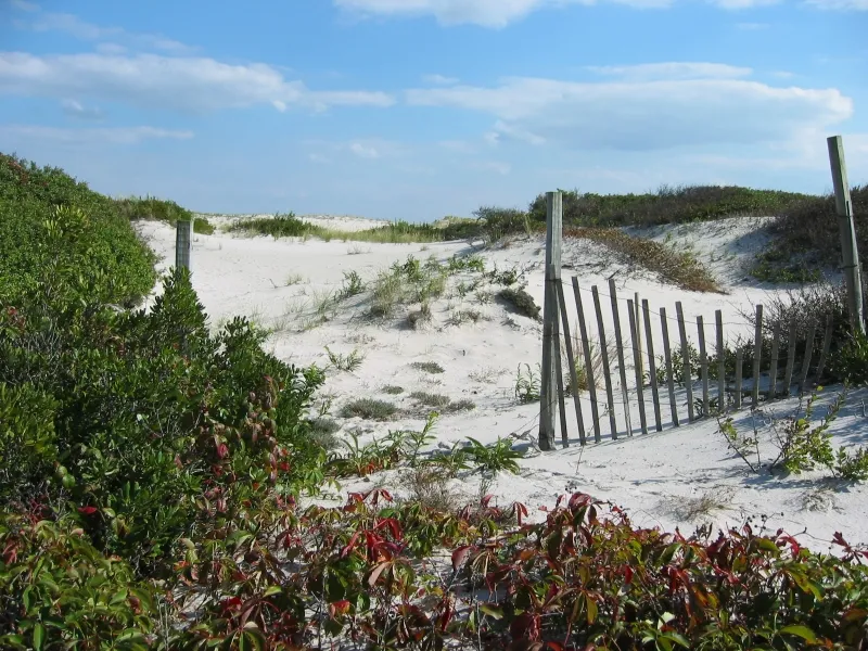 Skyline Beach Park