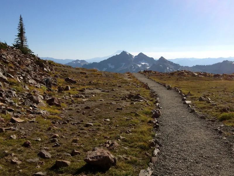Skyline Trail