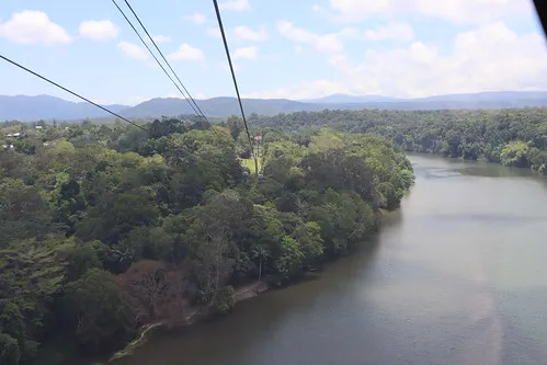 Skyrail Rainforest Cableway