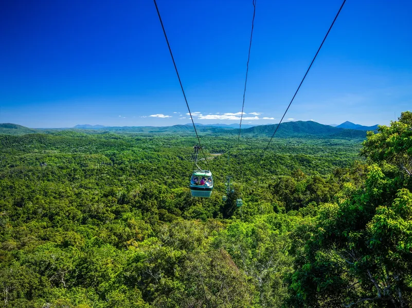Skyrail Rainforest Cableway