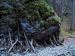 Slovak Paradise National Park