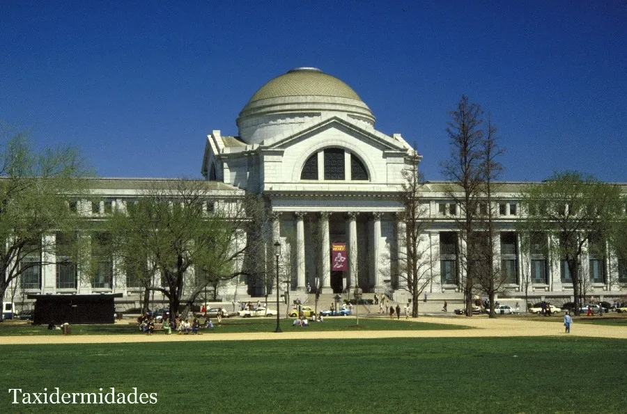 Smithsonian Museums