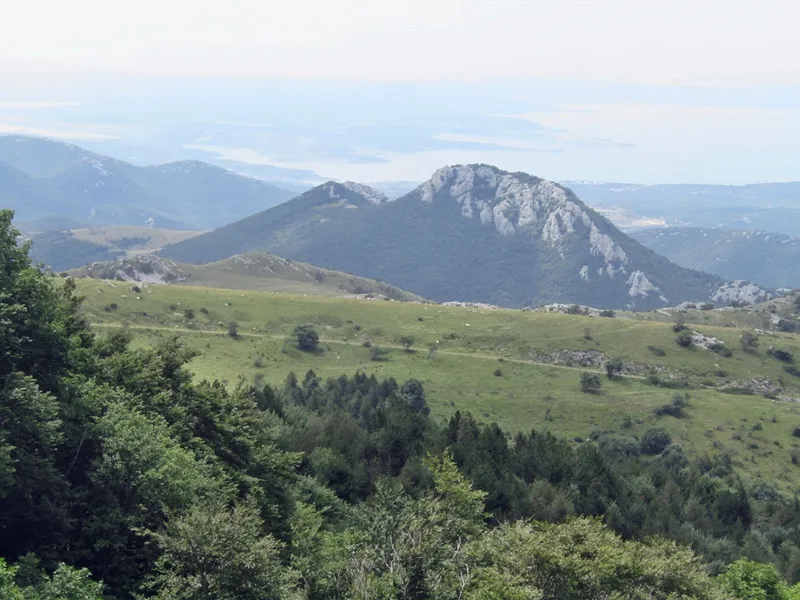Snežnik Spring