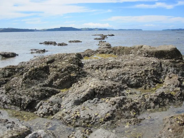 Snells Beach