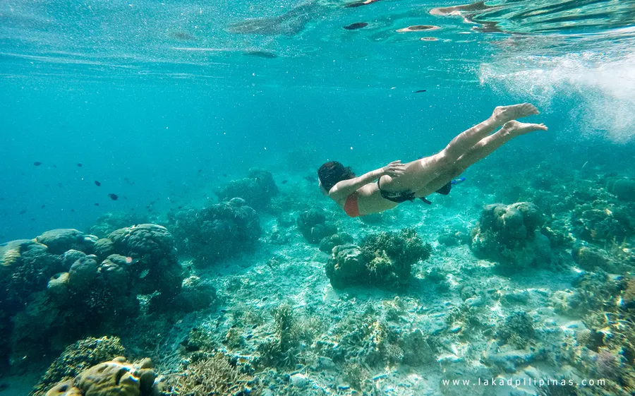Snorkeling Spots around Verde Island