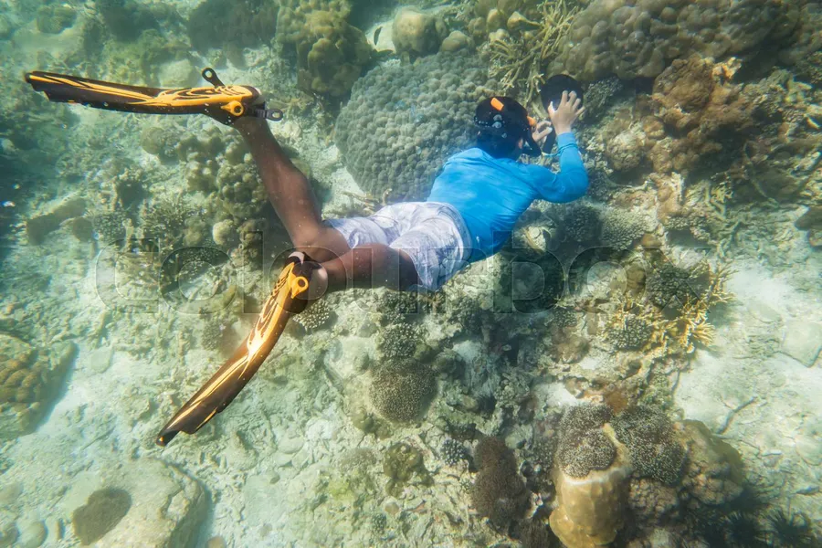 Snorkeling and Diving