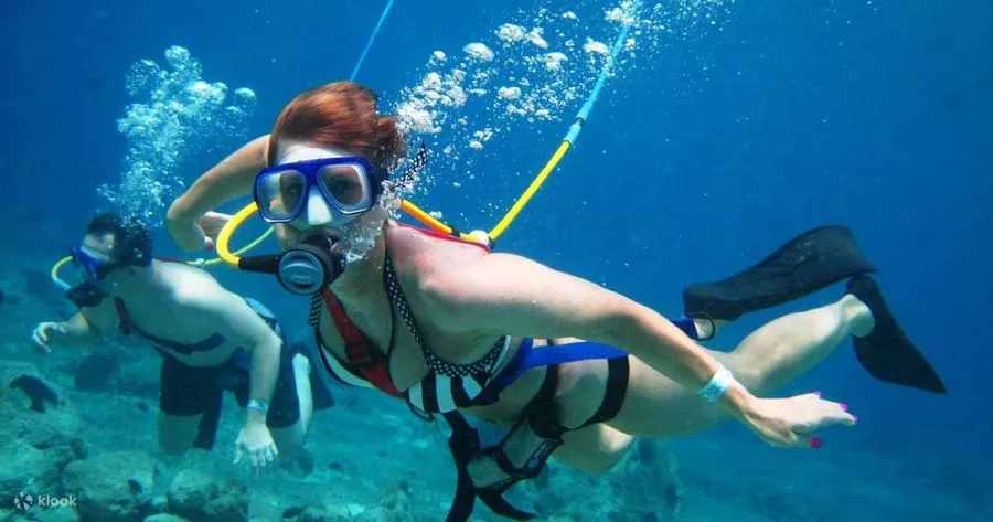 Snorkeling and Diving