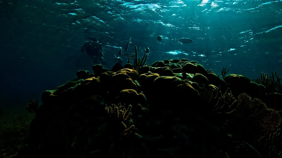 Snorkeling and Diving Sites around Goff's Caye